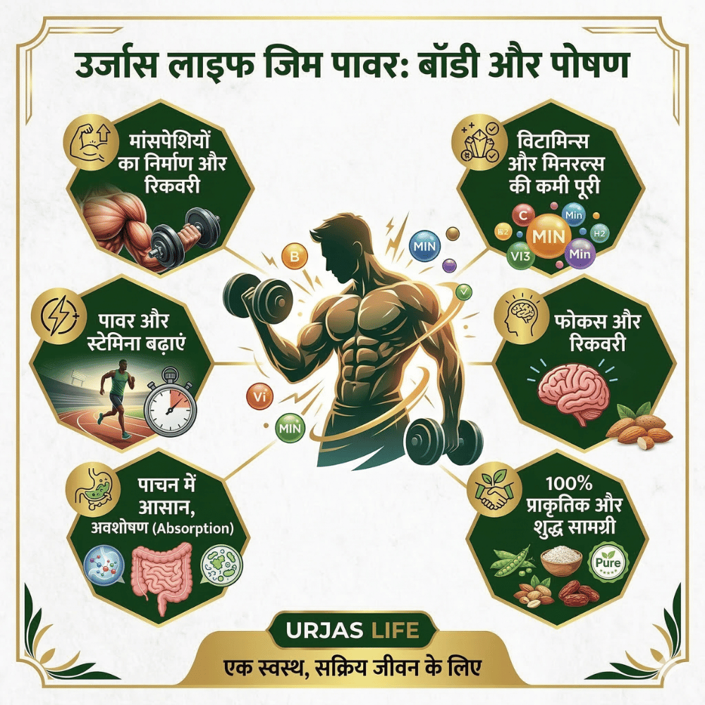 Plant Based Protein Powder